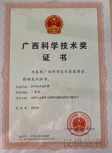 广西科学技术进步奖二等奖——李英健