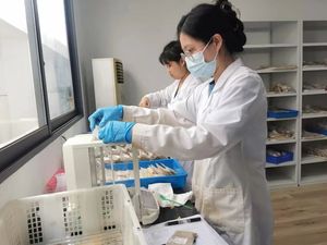 广西第三次全国土壤普查样品检测服务