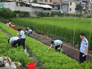 南丹县2025年农产品质量安全监督抽查(种植业)检测服务